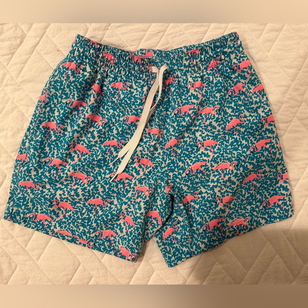 Chubbies Blue and Pink Men’s bathing suit